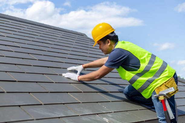 Best Metal Roofing Contractor  in Merriam, KS