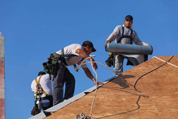 Best Roof Gutter Cleaning  in Merriam, KS
